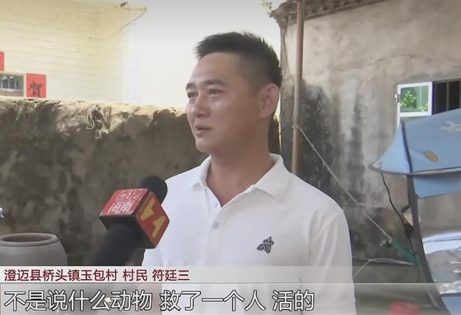 掘金夏季联赛阵容太老?全队竟无22岁以下球员